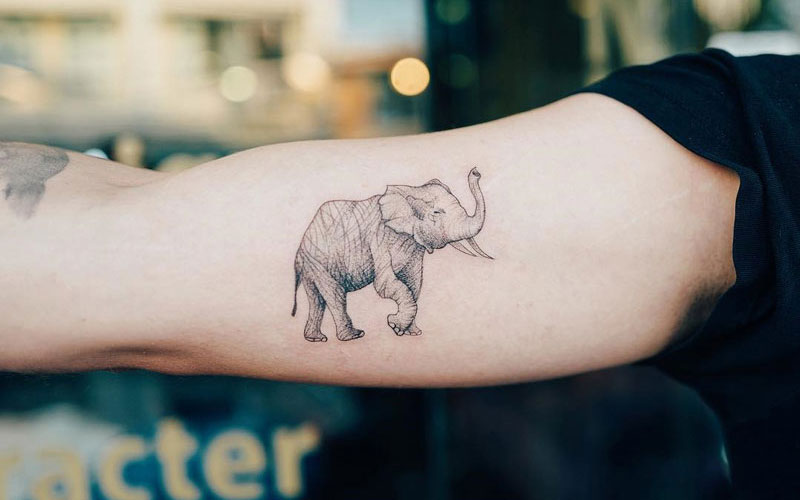Beautiful Elephant Tattoo Ideas